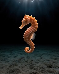 Closeup of a seahorse swimming in the ocean