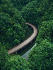 Curving road through lush green forest
