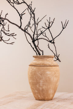 Minimalist decor with rustic vase and dry branch