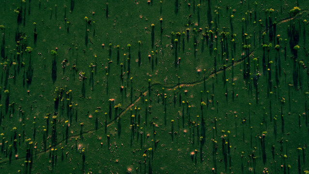 Aerial Top view of African savannah shadows texture at first light 