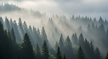 Fototapeta premium Whispers of the Mountain Mist Generative AI 