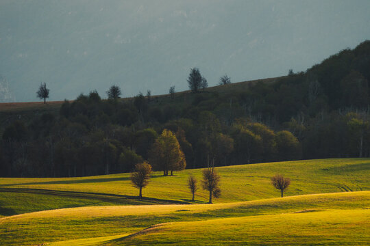 Green pasture at sunset