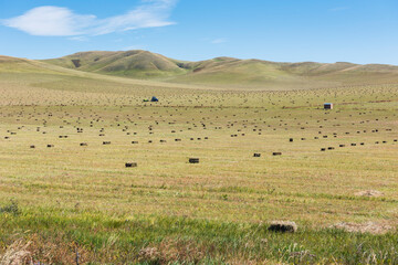 Rolling Hills and Hay Bales Under a Clear Blue Sky