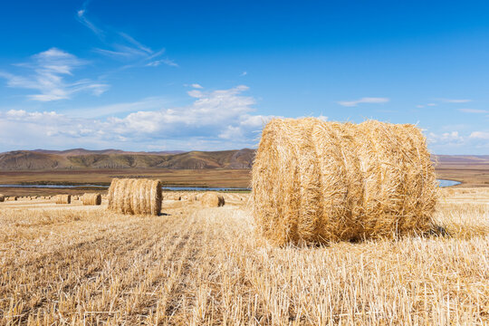 Golden Straw Bales in a Beautiful Rural Landscape