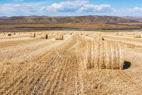 Golden Straw Bales in a Beautiful Rural Landscape