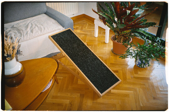 Film shot of a ramp for dogs with back problems placed next to a couch
