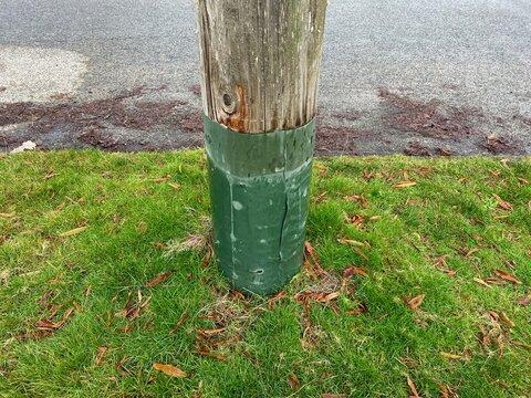 Utility pole, grassy lawn and street curb