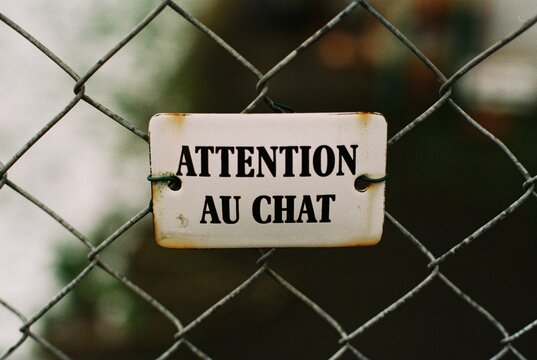 Attention au chat - sign 