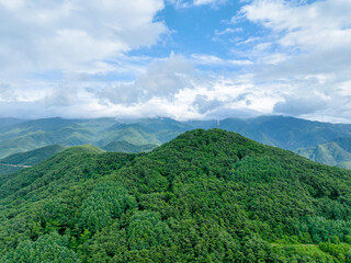 Fototapeta premium 충북 단양 