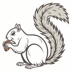 squirrel icon with white background
