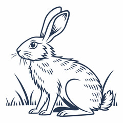 rabbit icon with white background