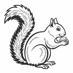 squirrel icon with white background