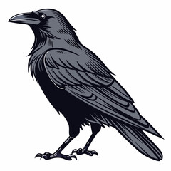 crow icon with white background