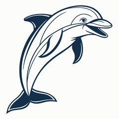 dolphin isolated on white background
