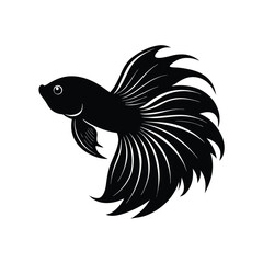 Betta (Siamese Fighting Fish) Silhouette Vector Art and Black Betta Fish Design Illustration