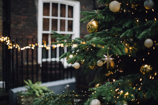 London Christmas Tree in a Square