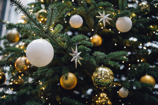 London Christmas Tree in a Square