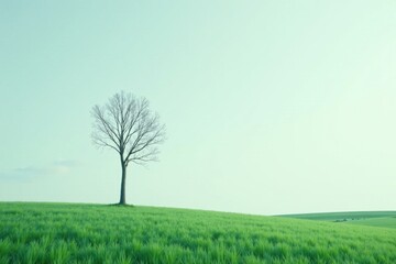 Obraz premium Solitary Leafless Tree on a Verdant Rolling Hill Under a Pale Sky