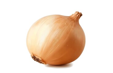 Single Yellow Onion: A Still Life Study in Warm Tones