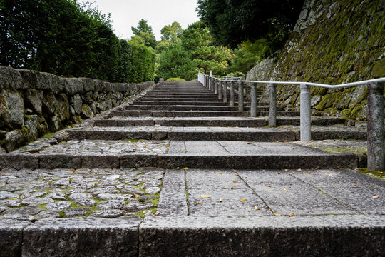 Old stone stairs in a park.