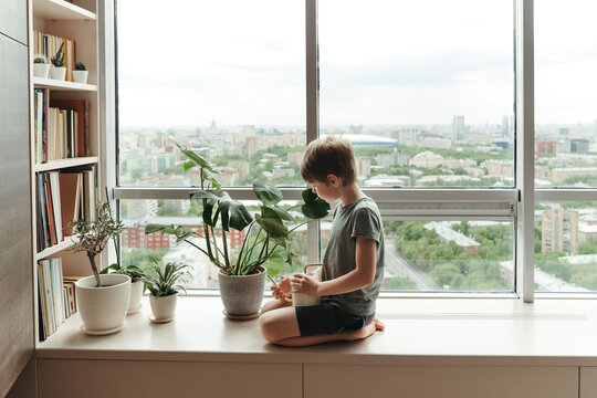 Indoor Gardening Bliss for a Curious Young Mind