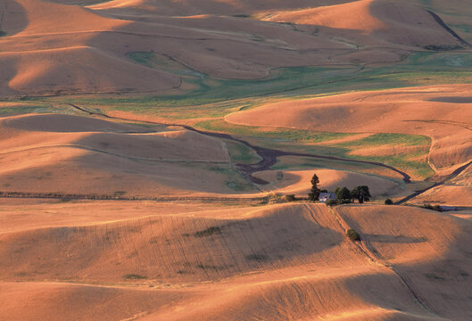 Evening light sunset Palouse Prairie eastern Washington wheatfields