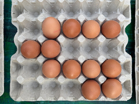 eggs in carton container
