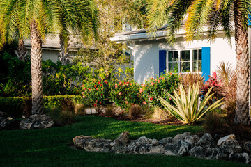 Tropical Landscaping with Palm Trees in Florida
