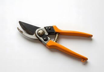 Obraz premium Orange Gardening Shears on White Background