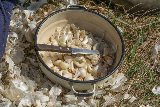  Garlic cloves or bulbils 