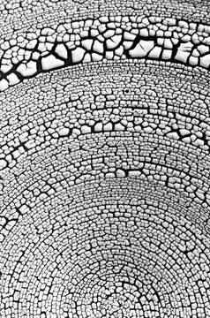 Fototapeta Raku bowl black and white patterns bands circular macro photograph