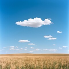 Obraz premium Golden Wheat Field Under Blue Sky with Clouds