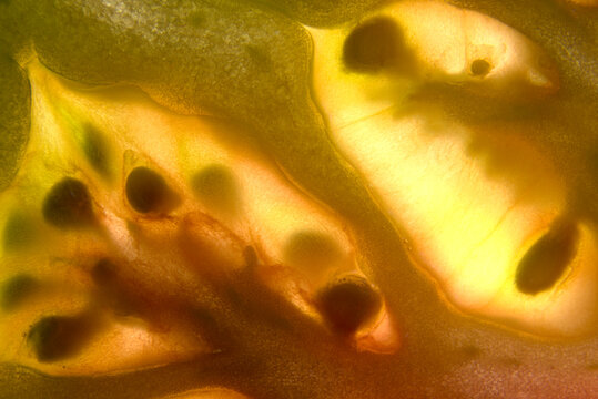 closeup macro heirloom tomato slice patterns seeds coloration texture