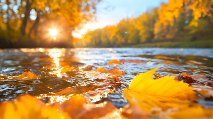 Autumn leaves floating on river at sunset, nature background, fall scene