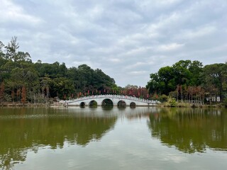Obraz premium Bridge over the river