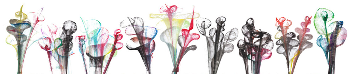 Abstract art flowers banner and background hand watercolor painting on paper.