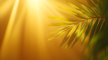 Fototapeta premium Green Leaf in Golden Sunlight