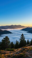 Fototapeta premium Serene mountain landscape at sunrise with misty valley and pine trees