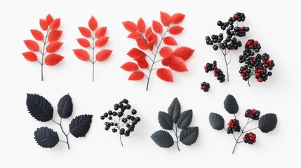 Naklejka premium Vibrant Red and Black Rowan Berries and Leaves Arrangement on White Background Displaying Autumn Foliage and Colors for Seasonal Decor