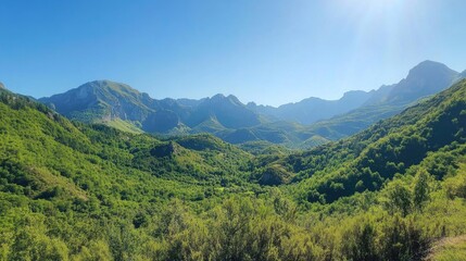 Naklejka premium Serene panoramic view of lush green valleys and rugged peaks in Rochers de Naye Swiss Alps against a clear blue sky on a sunny day