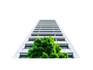 A tall building is prominently displayed with a lush green tree at its base, Isolated on white background.