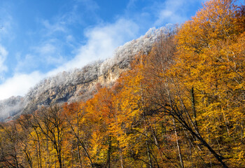 Fototapeta premium morning in a mountainous area, frost fell on the trees, the first rays of the sun awaken nature