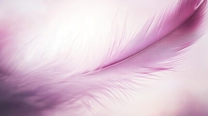 Obraz premium Pink Feather Background with Soft Pastel Feather Texture. Highlighting Softness and Aesthetic Patterns for Decorative Use.