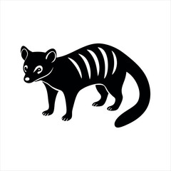 Fototapeta premium African civet wild animal