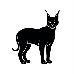caracal animal