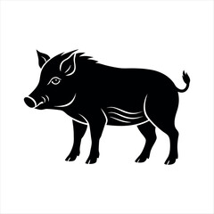 pig wild animal