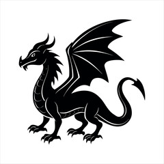 Fototapeta premium wyvern animal