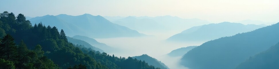 Naklejka premium Low hanging fog veils tree tops on mountain sides, fog, scenery, landscape