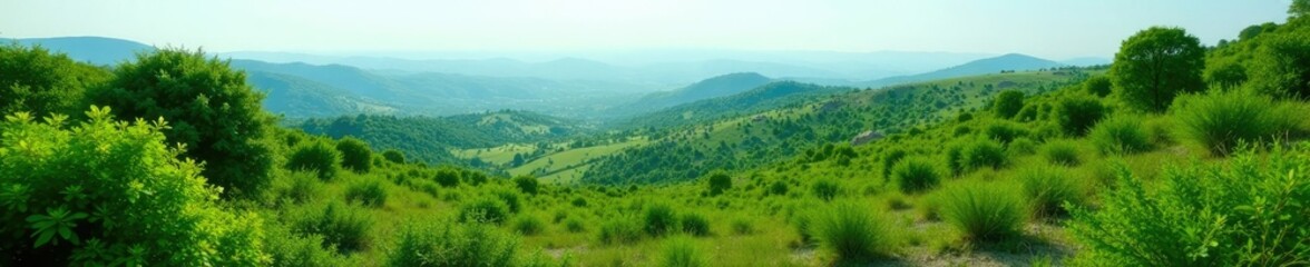 Fototapeta premium Dense thicket of bushes and shrubs undergrowth amidst a vast expanse of verdant greenery, wilderness, bushes, greenery