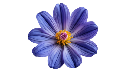 Vibrant Purple and Yellow Flower with Delicate Petals on Transparent Background – AI Generated Botanical Illustration
